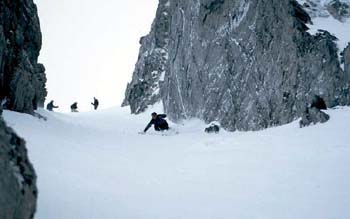 Scan66